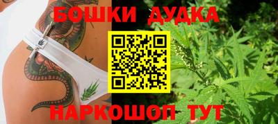 дживик Надым