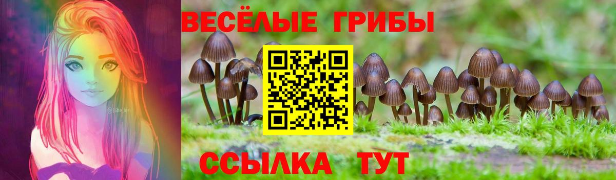 Галлюциногенные грибы MAGIC MUSHROOMS  Галлюциногенные грибы MAGIC MUSHROOMS  Звенигород  Вход с VPN 
